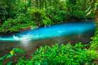 Changing colors at Rio Celeste, Tenorio Volcano National Park, Guanacaste Province, Costa Rica Art Print